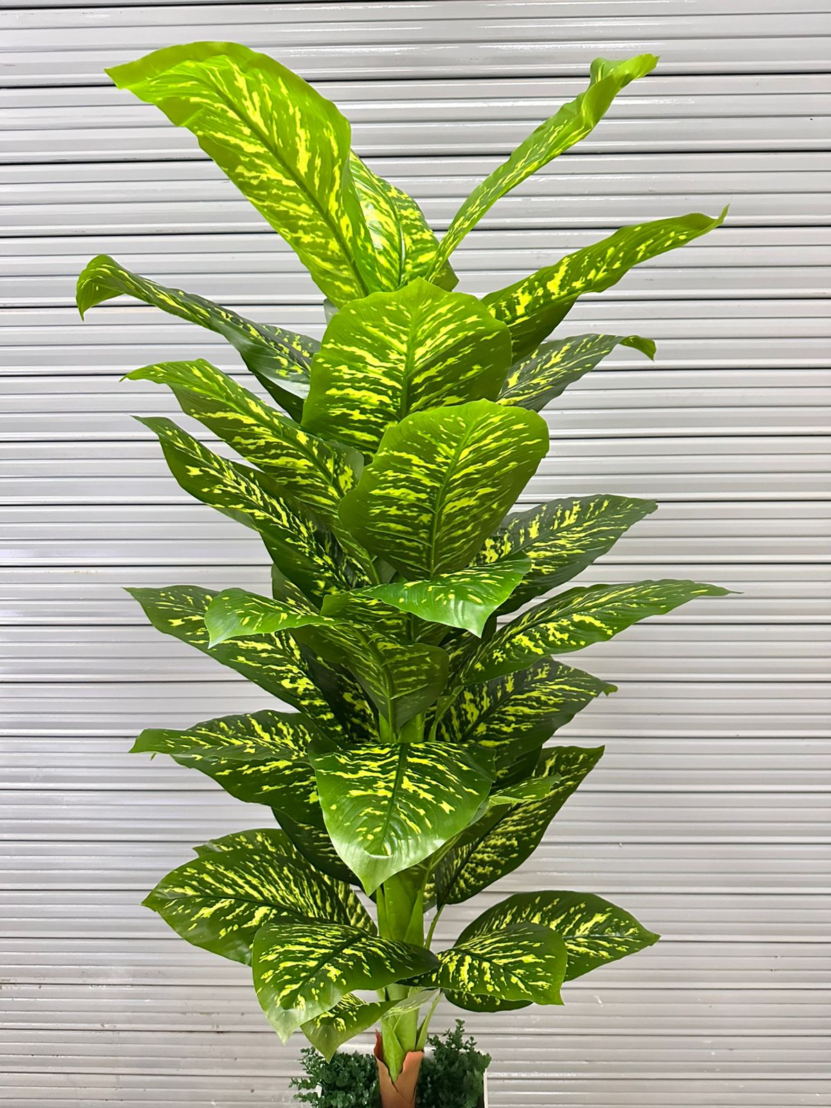 Planta de Lluvia de Plata Artificial de 200cm con Maceta de Trupán